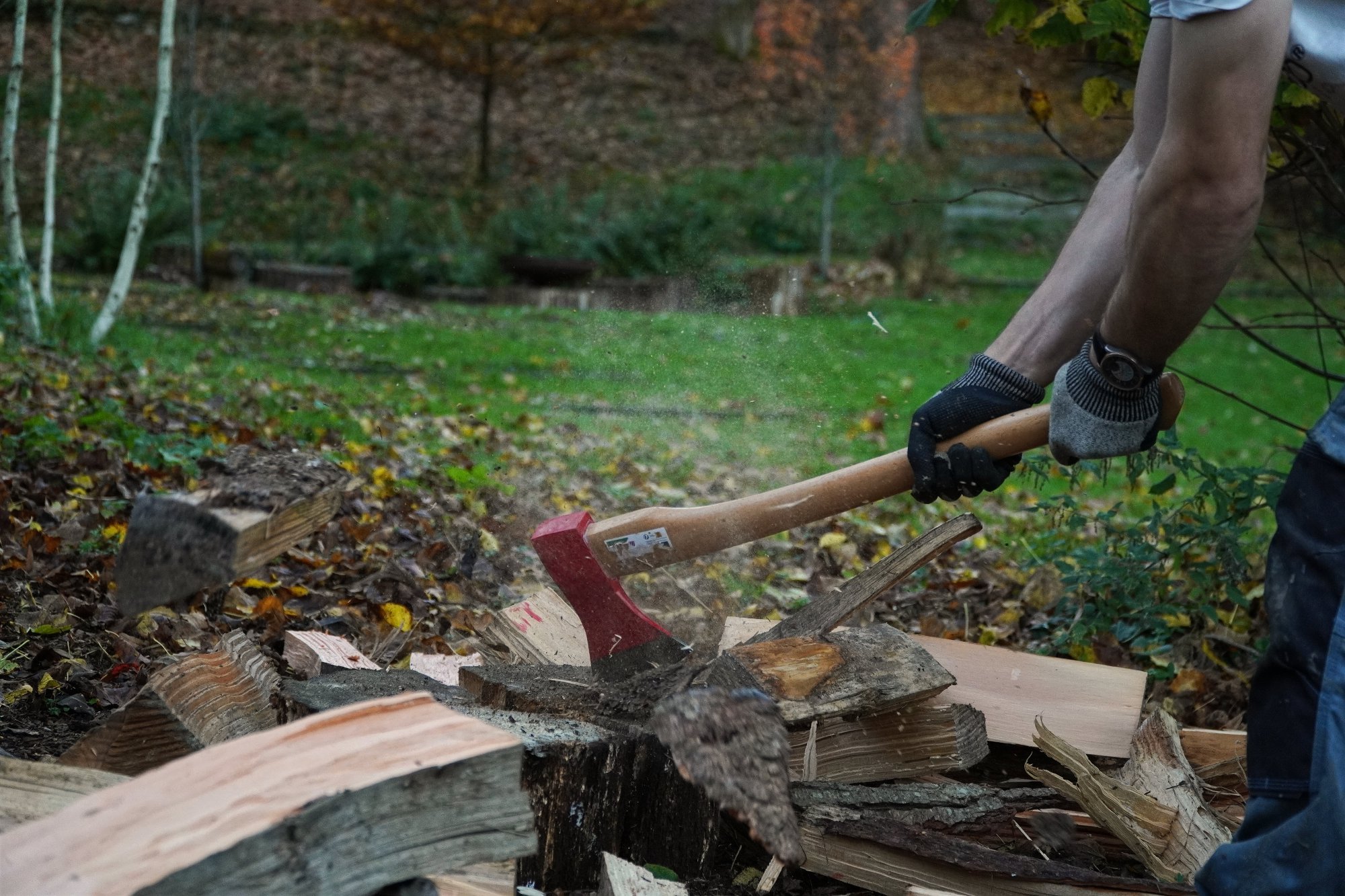 BUCHES2-6915f1147dcdd