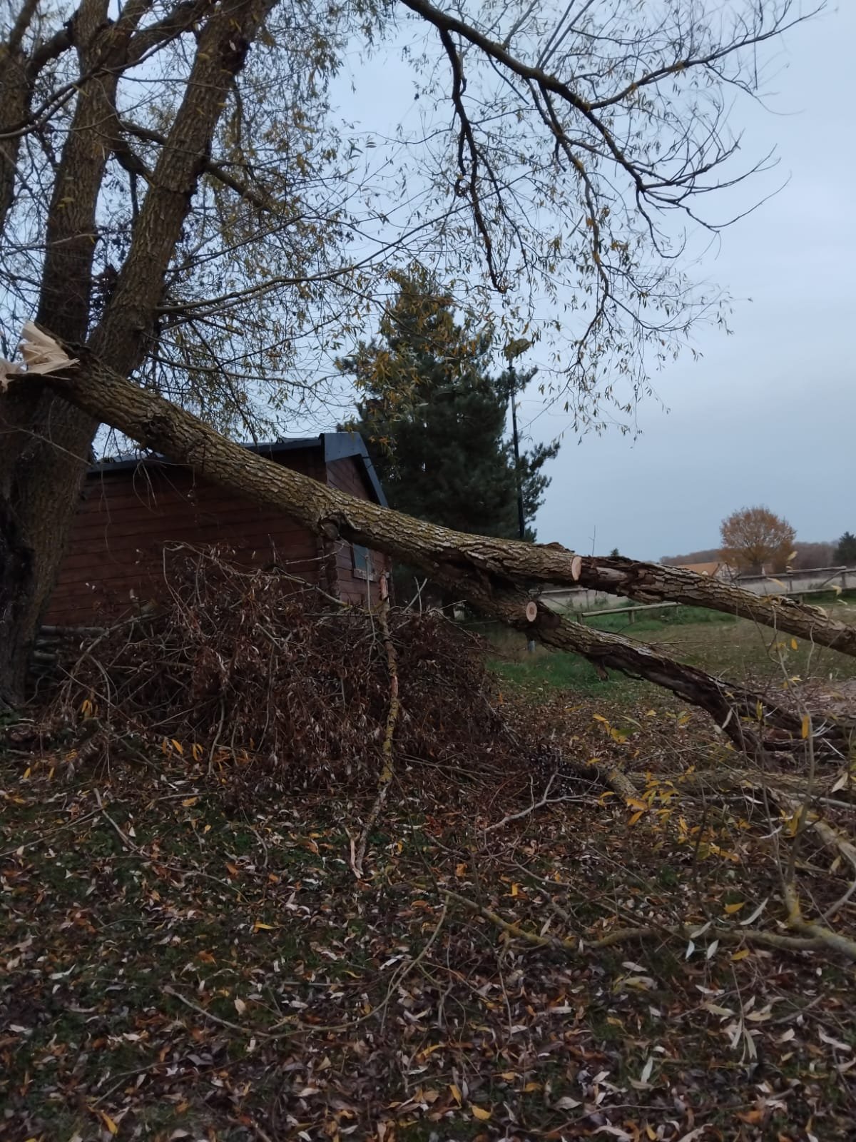 WhatsApp Image 2025-11-15 à 23.17.29_8a6e68d3